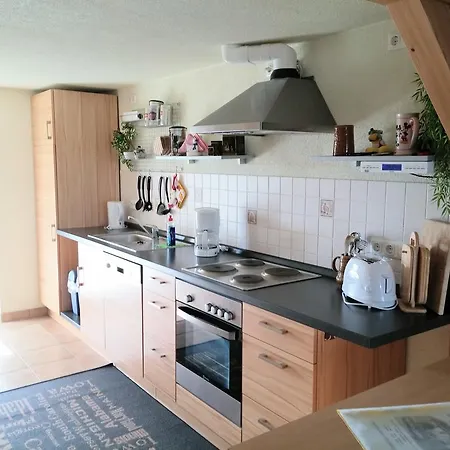 公寓 Ferienhaus Wille 包岑