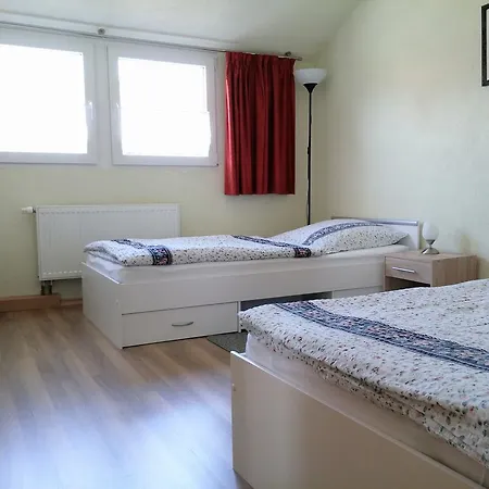 公寓 Ferienhaus Wille 包岑